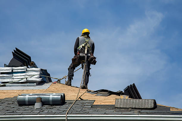 Professional Storm Damage Roof Repair technician working in Alexander, NY